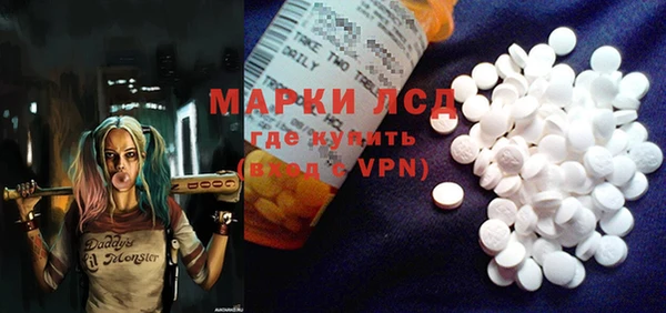 apvp Алзамай